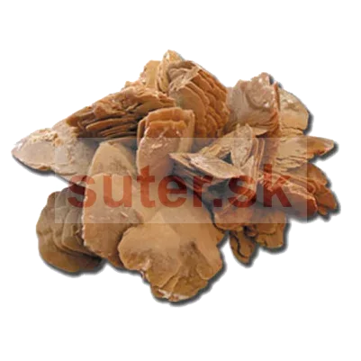 Púštna ruža PR22, 10-40 cm